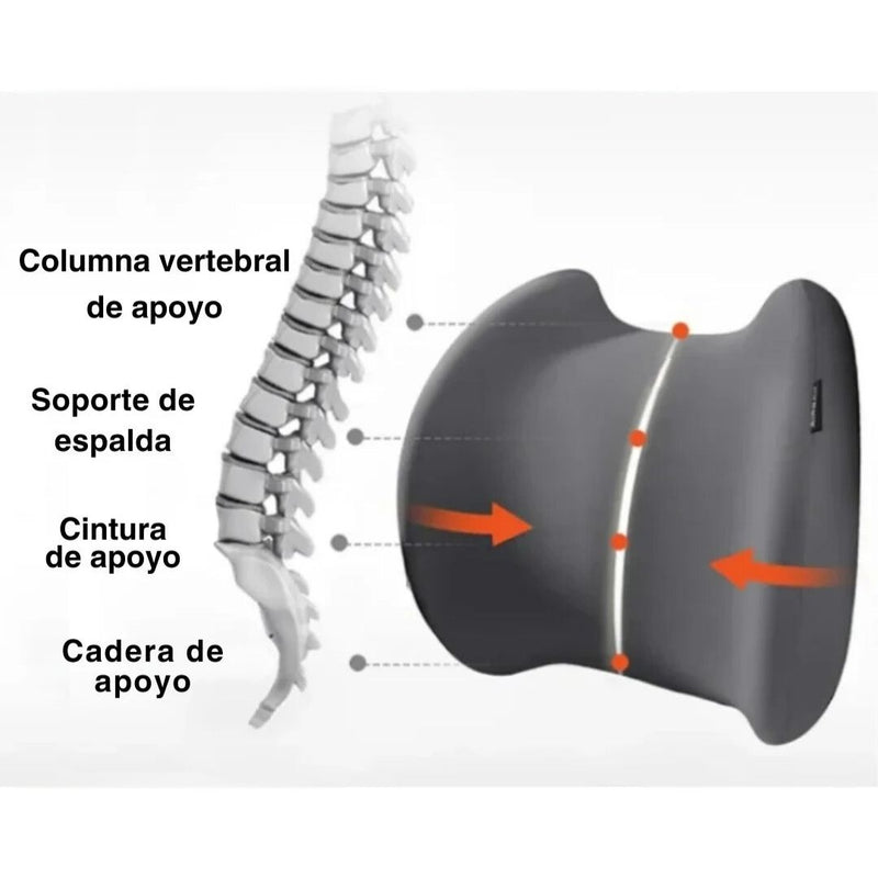 Kit ErgoConfort - Soporte para Lumbar y Cuello